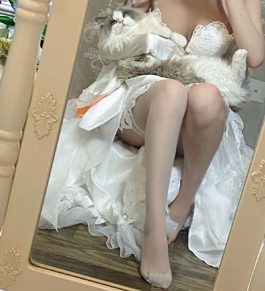 花芷惜电视剧_国产剧电视剧在线观看