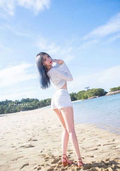 麻雀 电视剧_在线观看电视剧